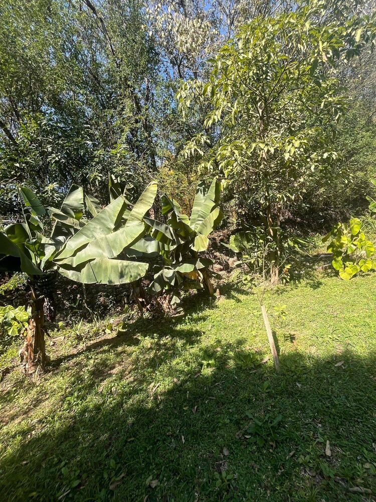 Casa à venda com 3 quartos, 1750m² - Foto 1