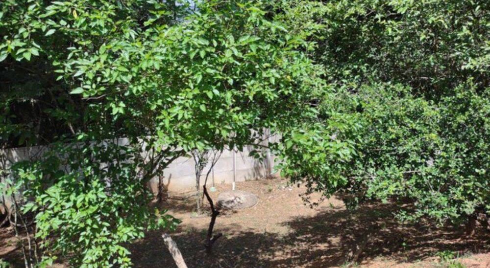Chácara à venda com 3 quartos, 170m² - Foto 3