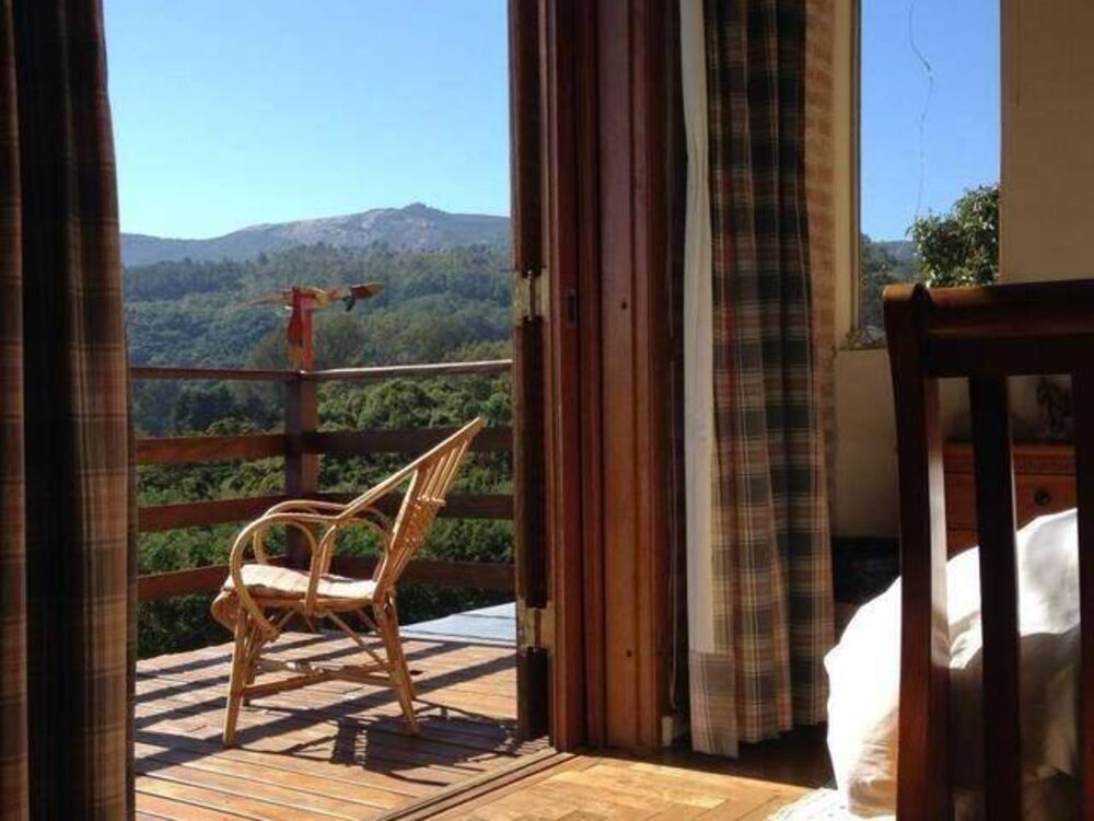 Sítio à venda com 4 quartos, 370m² - Foto 7