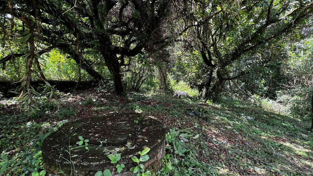 Chácara à venda com 2 quartos, 100m² - Foto 3