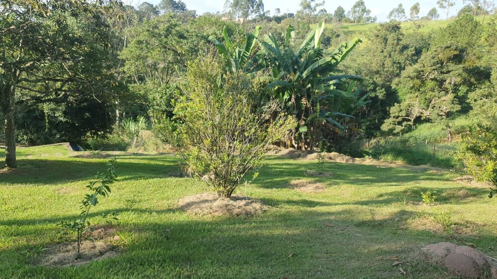 Casa à venda com 5 quartos, 9000m² - Foto 3