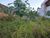 Terreno, 300 m² - Foto 2