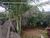 Casa, 1 quarto, 250 m² - Foto 3