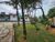 Chácara, 4 quartos, 690 m² - Foto 1