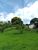 Terreno, 9170 m² - Foto 1