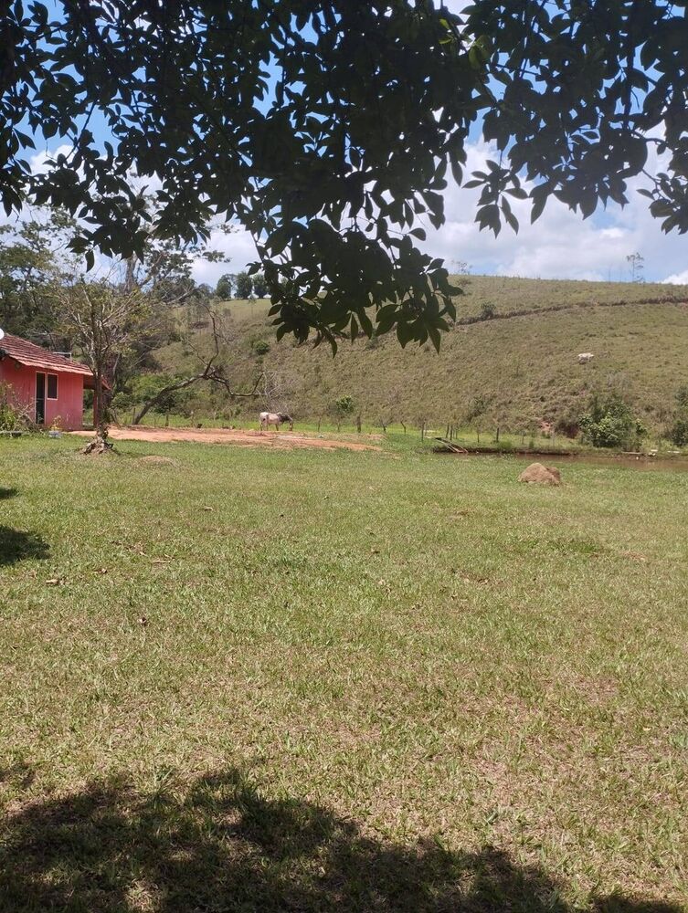 Sítio à venda com 4 quartos, 26000m² - Foto 8