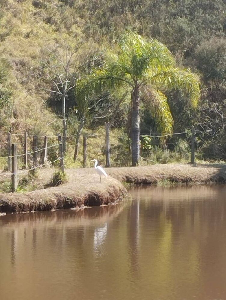 Sítio à venda com 4 quartos, 26000m² - Foto 13