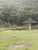 Sítio, 4 quartos, 3 hectares - Foto 12