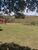 Sítio, 4 quartos, 3 hectares - Foto 8