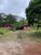Sítio, 4 quartos, 3 hectares - Foto 9
