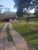 Sítio, 4 quartos, 3 hectares - Foto 10