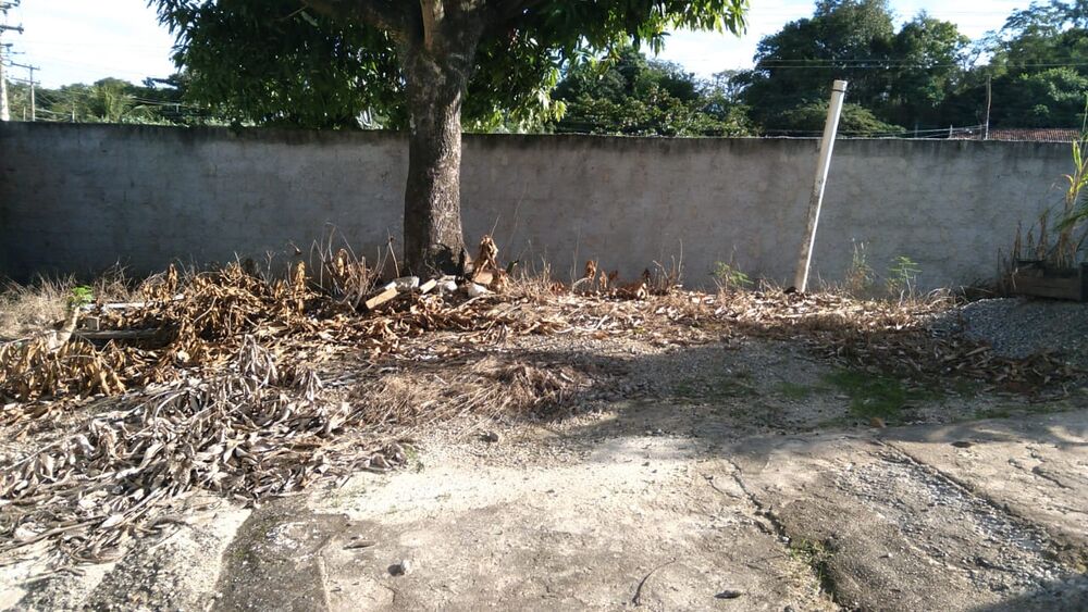 Casa, 1 quarto, 50 m² - Foto 3