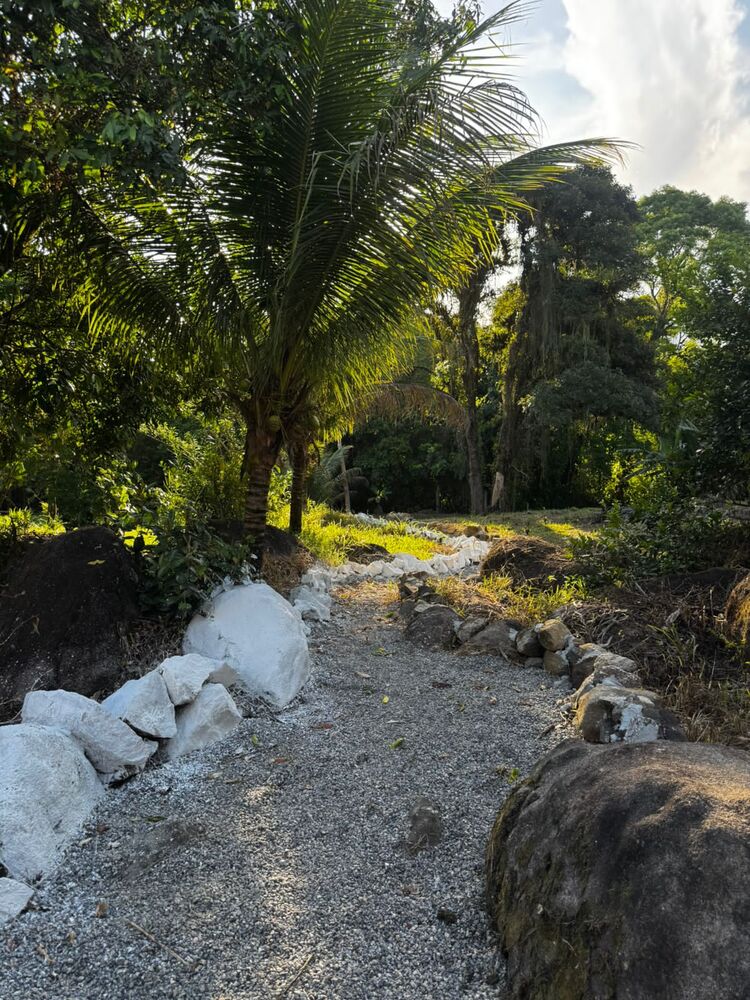 Chácara, 3 quartos, 1000 m² - Foto 15