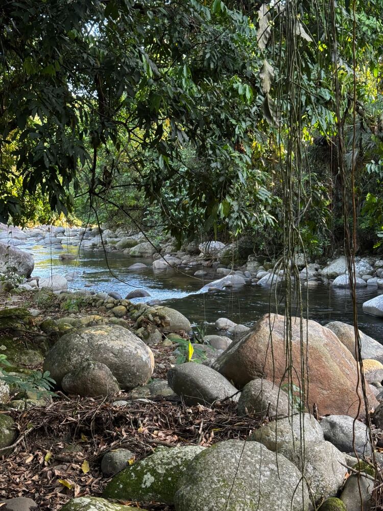 Chácara, 3 quartos, 1000 m² - Foto 28