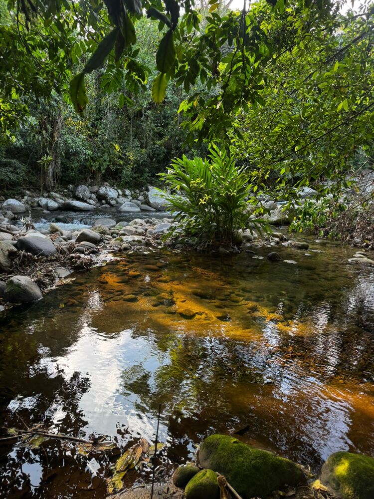 Chácara, 3 quartos, 1000 m² - Foto 19