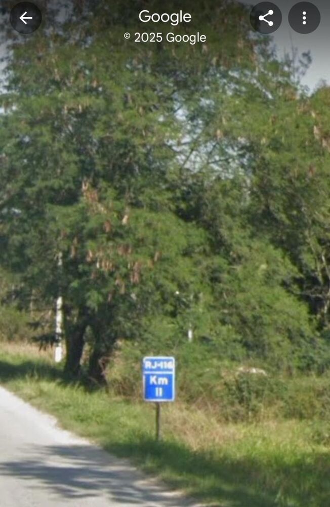 Terreno, 3000 m² - Foto 7