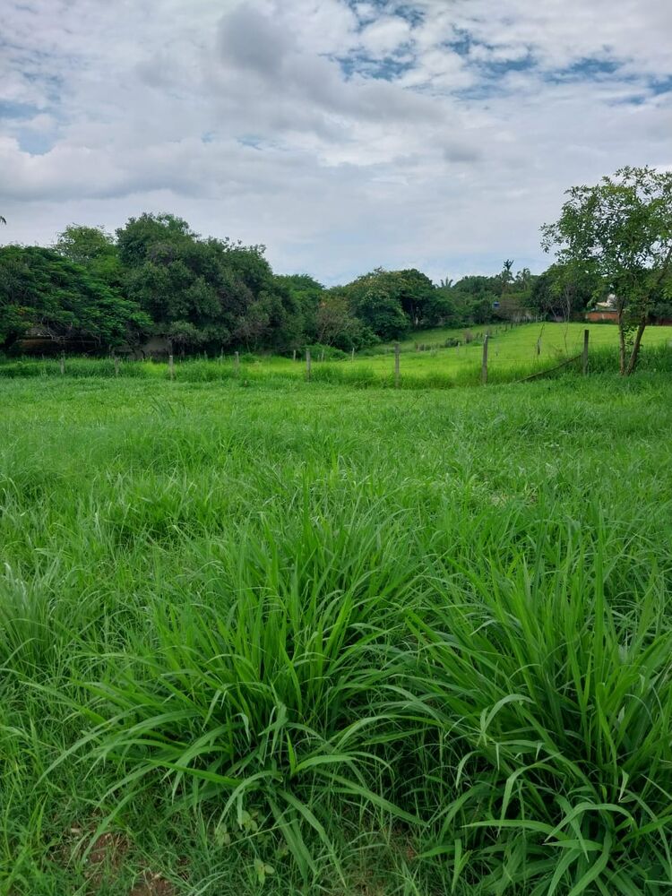 Terreno à venda, 100m² - Foto 24