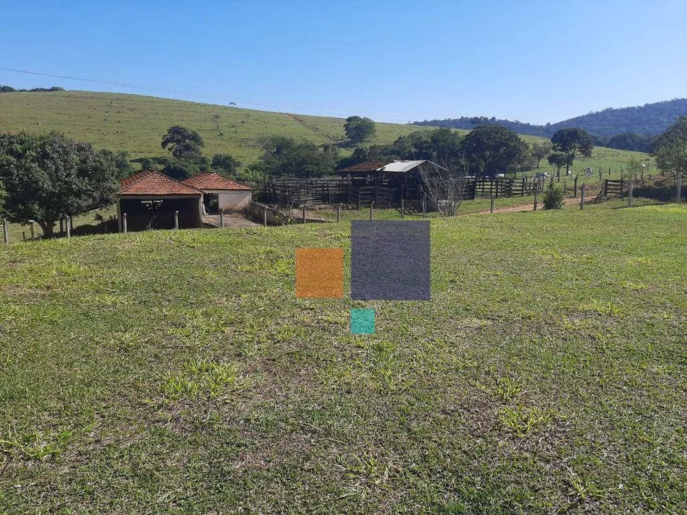 Fazenda, 260 hectares - Foto 2