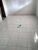 Apartamento, 1 quarto, 80 m² - Foto 12