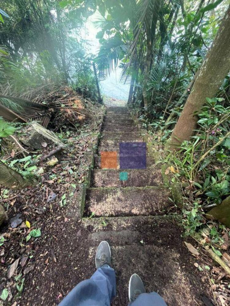 Chácara, 4 quartos, 2000 m² - Foto 20