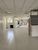 Depósito-Galpão, 1000 m² - Foto 4