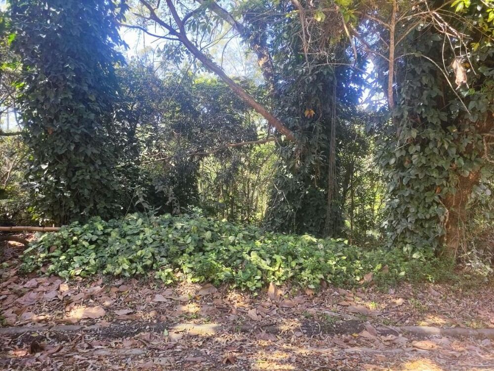 Terreno à venda, 600M2 - Foto 1