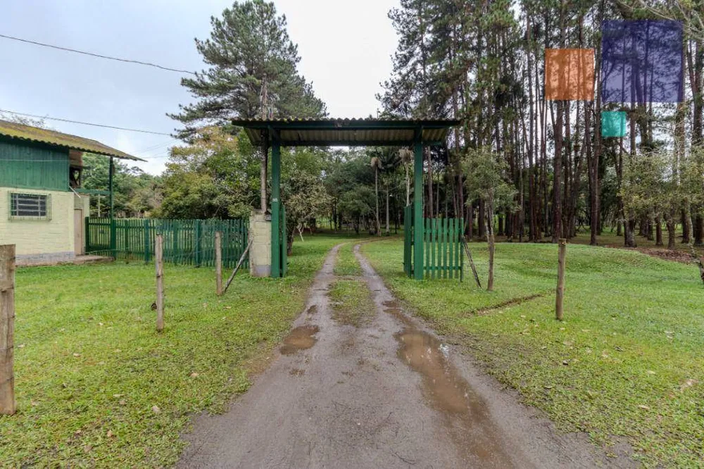 Casa, 5 quartos, 365 m² - Foto 10