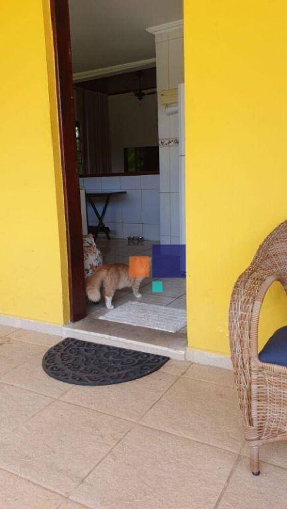 Casa, 7 quartos, 300 m² - Foto 17