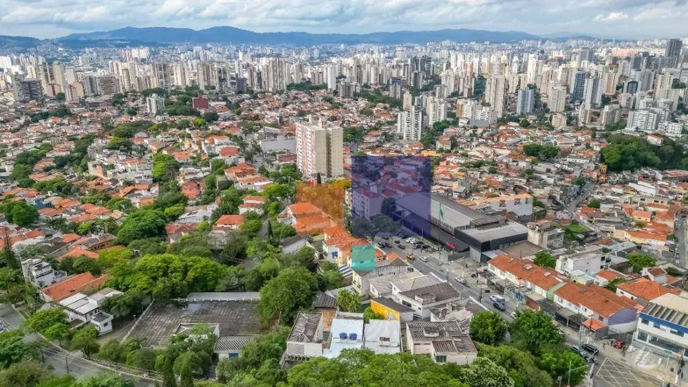 Casa, 4 quartos, 323 m² - Foto 6