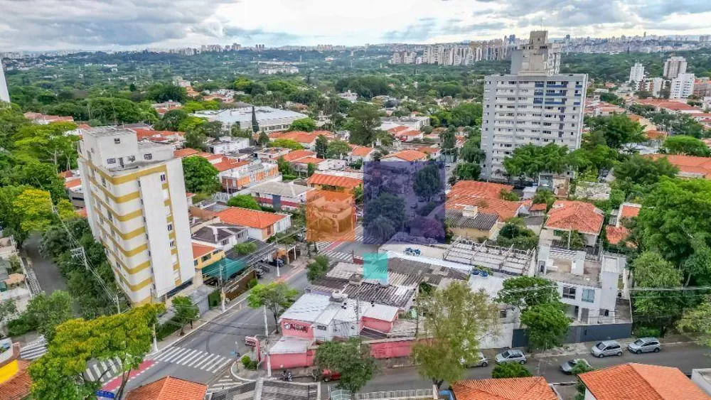 Casa, 4 quartos, 323 m² - Foto 3