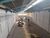 Prédio Inteiro, 730 m² - Foto 5