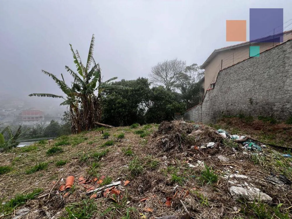 Terreno, 250 m² - Foto 3