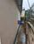 Casa, 5 quartos, 300 m² - Foto 4