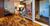 Casa, 3 quartos, 450 m² - Foto 1