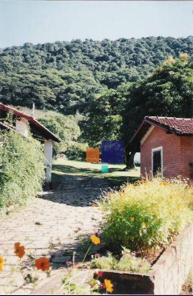 Fazenda, 75 hectares - Foto 8