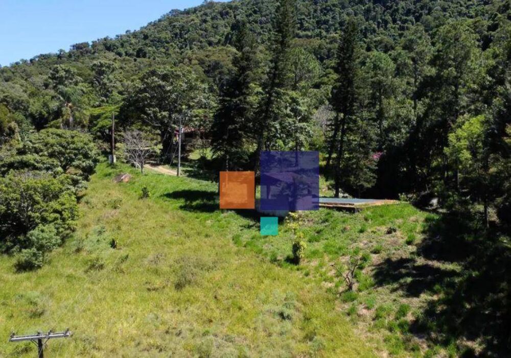 Fazenda, 75 hectares - Foto 20