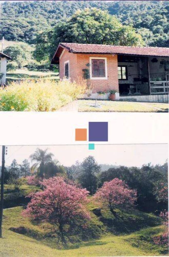 Fazenda, 75 hectares - Foto 9