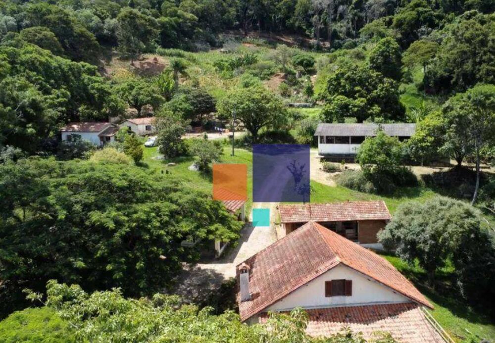 Fazenda, 75 hectares - Foto 7