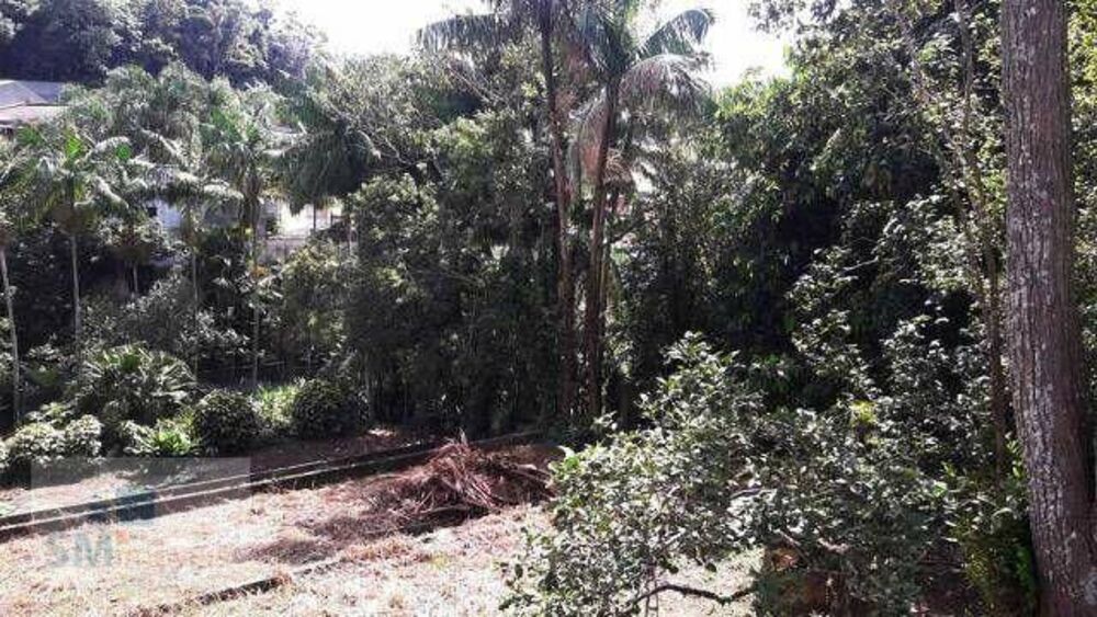 Terreno à venda, 1100M2 - Foto 4