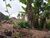 Terreno, 824 m² - Foto 6