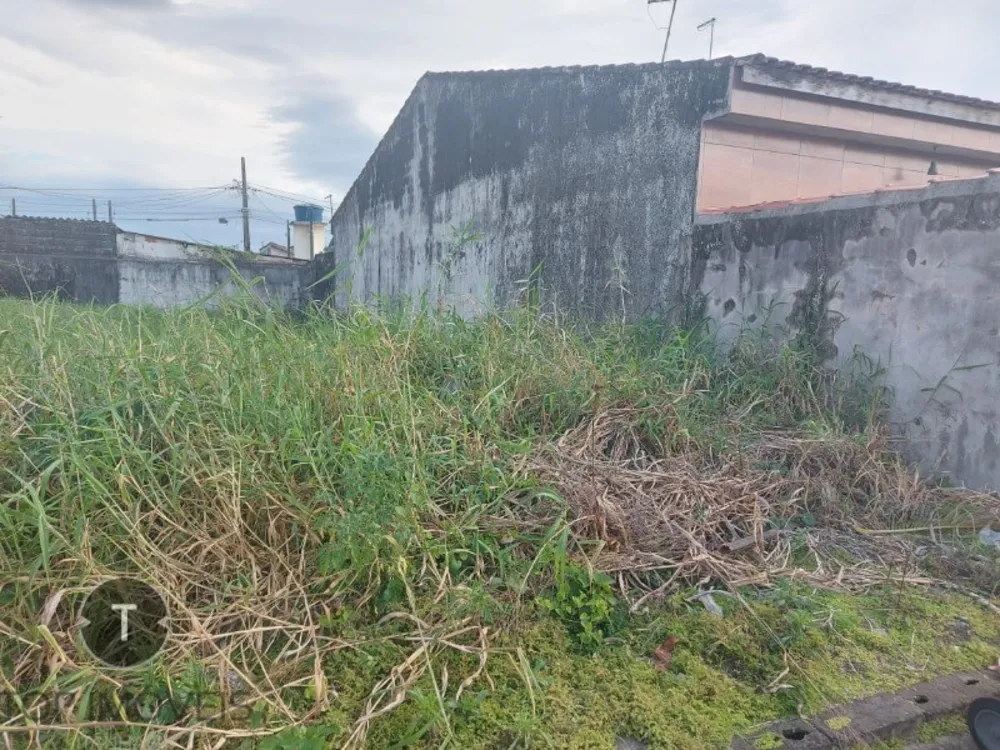 Terreno, 125 m² - Foto 4