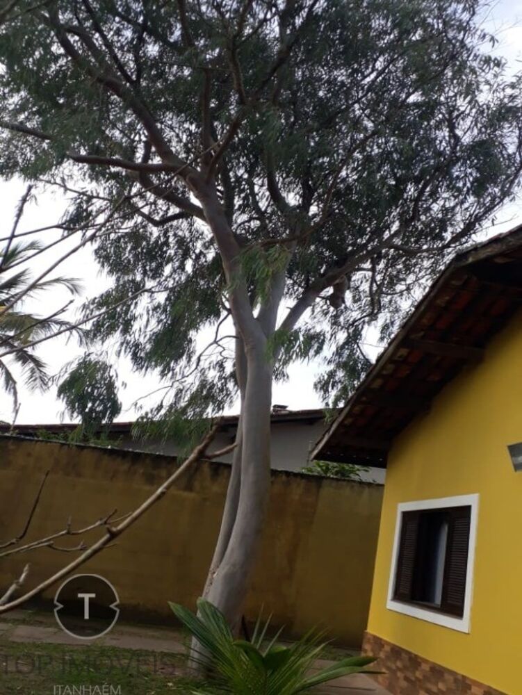 Casa, 3 quartos, 186 m² - Foto 3