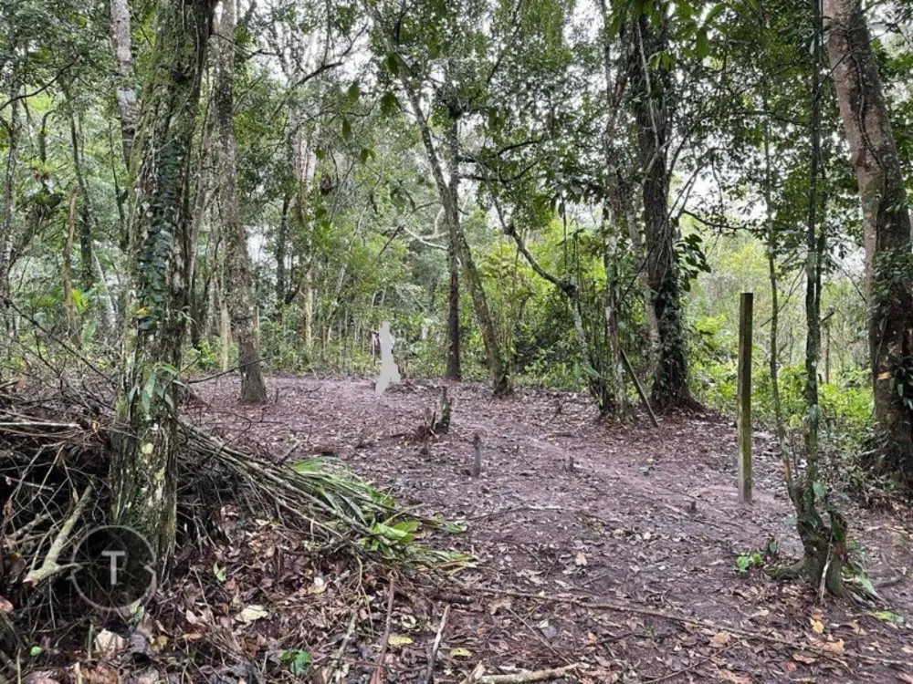 Terreno, 2000 m² - Foto 4