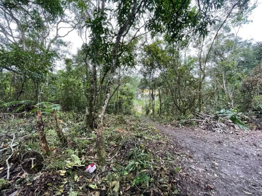 Terreno, 2000 m² - Foto 5