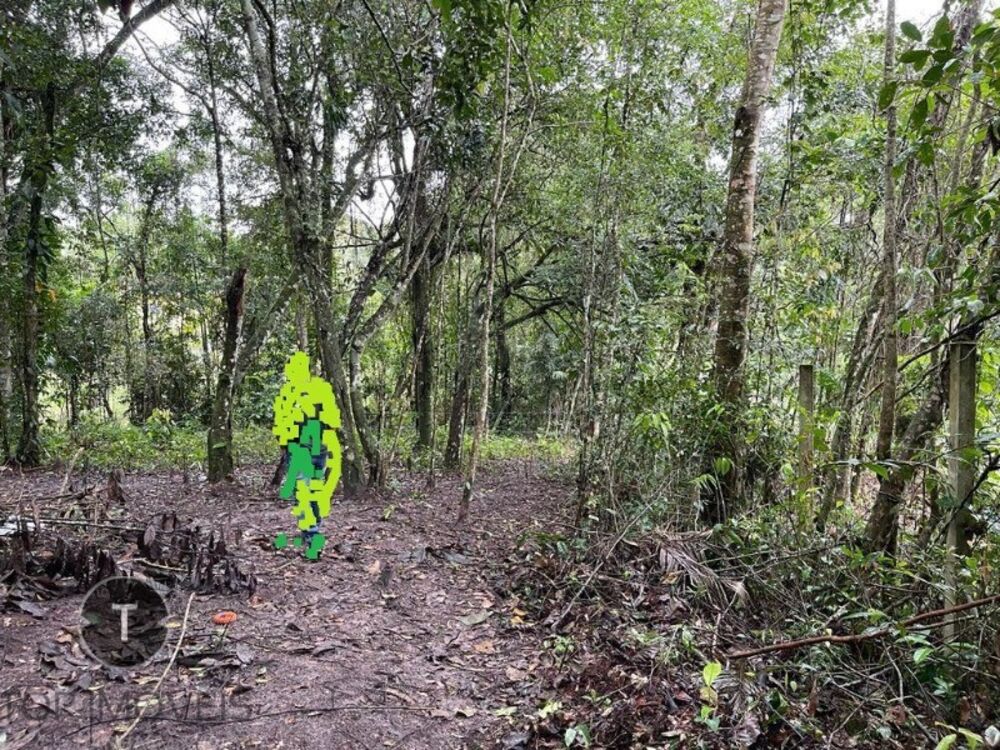 Terreno, 2000 m² - Foto 1