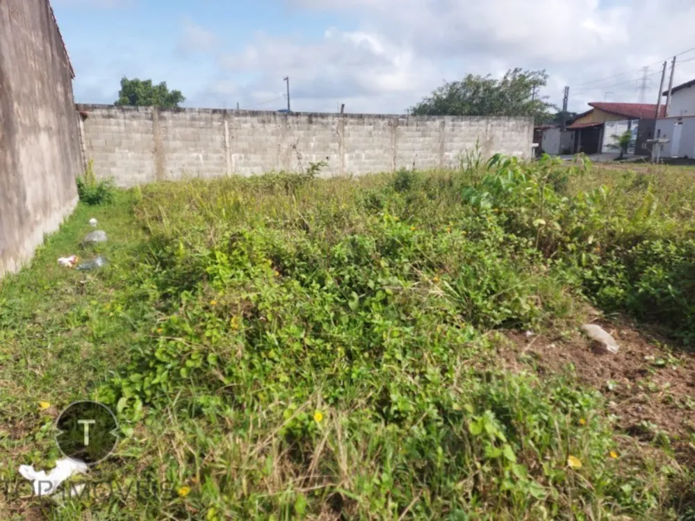 Terreno, 216 m² - Foto 15