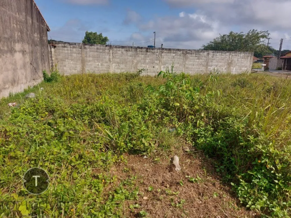 Terreno, 216 m² - Foto 7