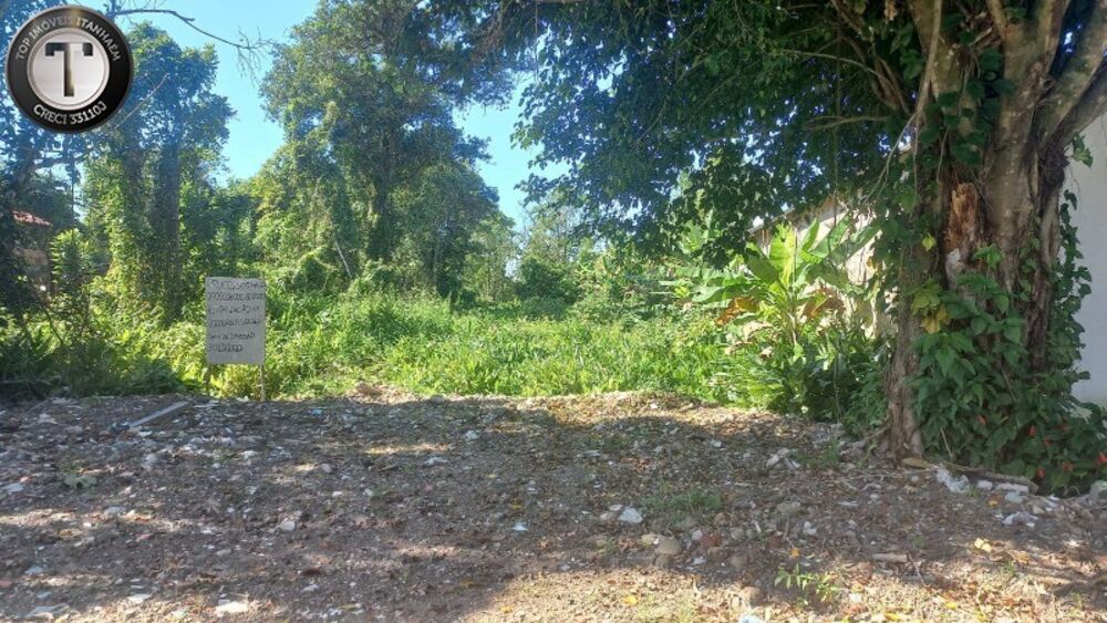 Terreno, 300 m² - Foto 2