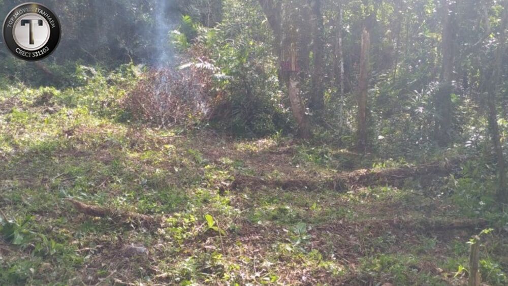 Terreno, 2500 m² - Foto 4