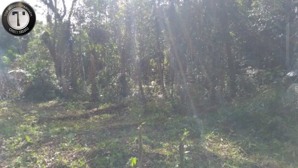 Terreno, 2500 m² - Foto 9